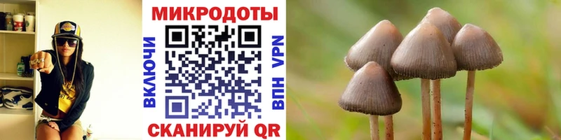 Псилоцибиновые грибы прущие грибы Александров