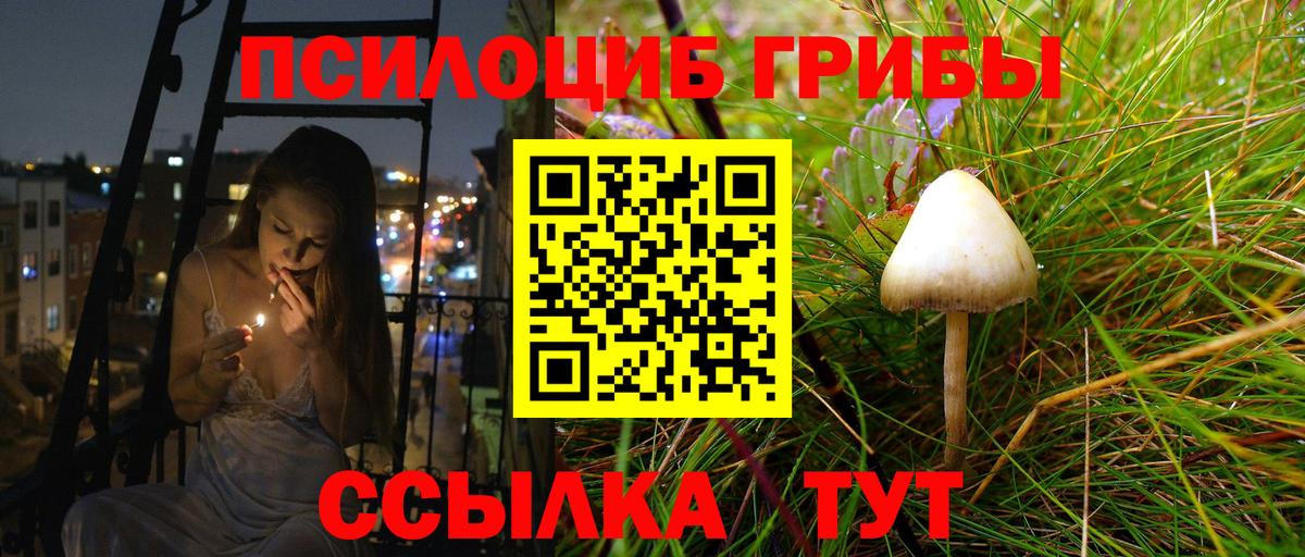 Псилоцибиновые грибы MAGIC MUSHROOMS  Вход с VPN  Псилоцибиновые грибы Cubensis  Александров 