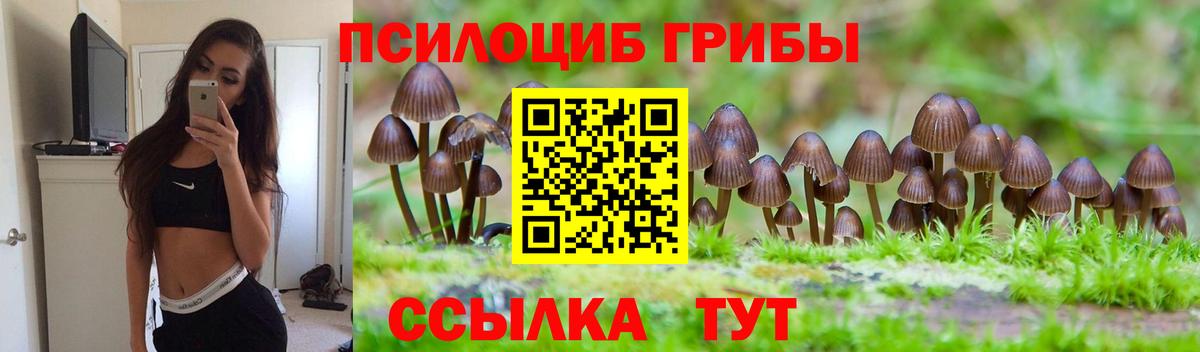 Гашиш  Лсд 25  Меф   Вход с VPN  Александров  Конопля 